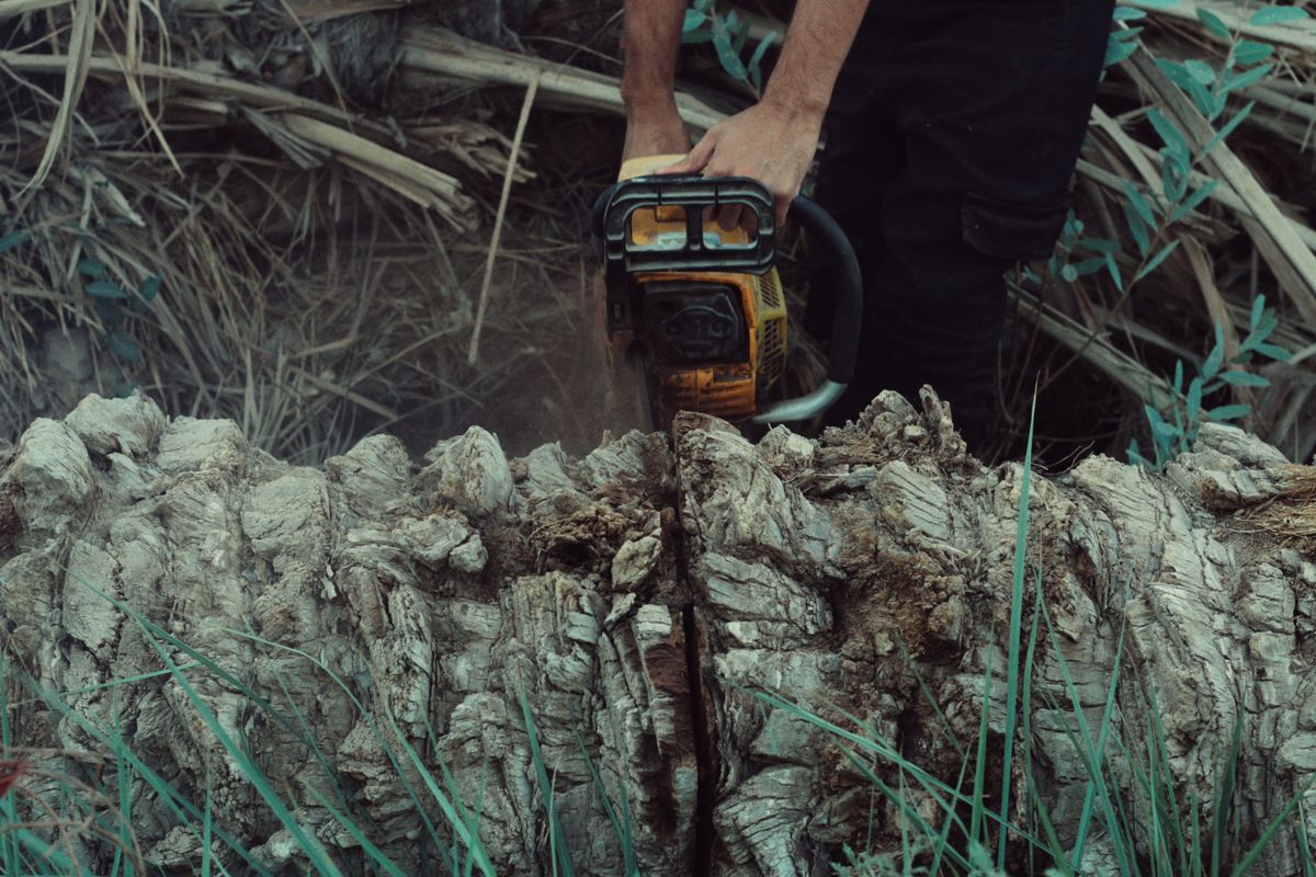 Asask Services Tree Removal &amp; Construction - Tree Services in Melfort, Saskatchewan