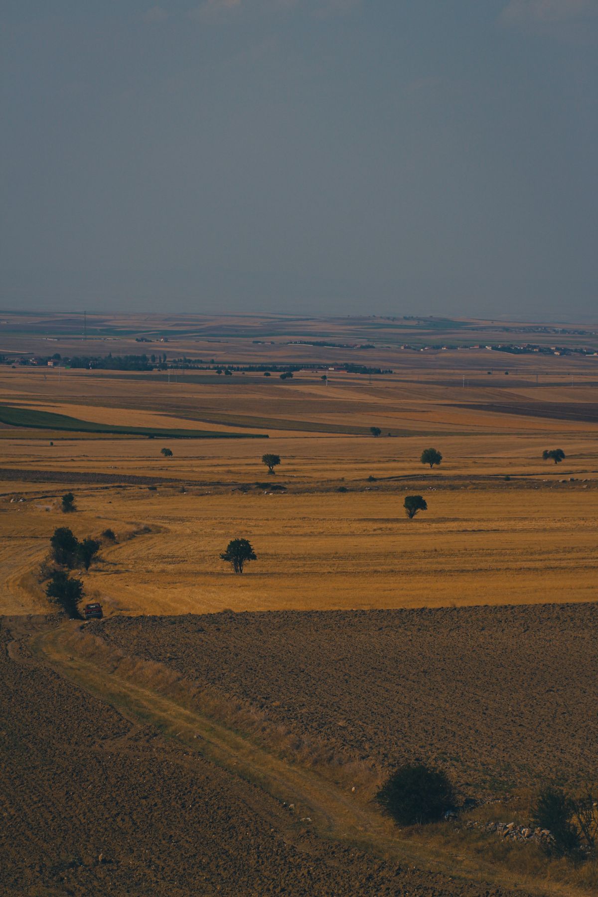 Prairie farmland and grain fields