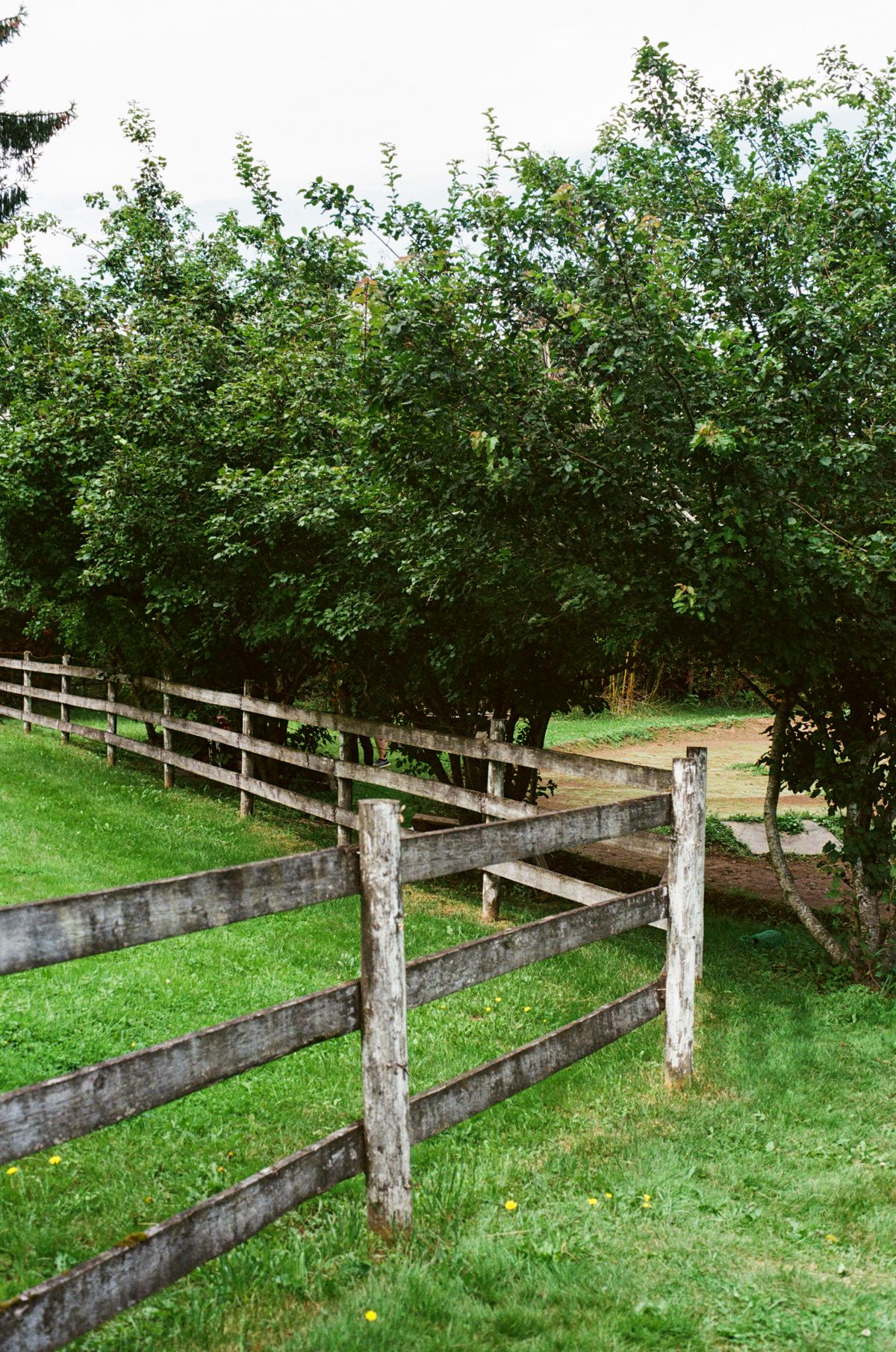 New Caliber Farm & Fence - Farm Equipment & Supplies in 100 Mile House, British Columbia