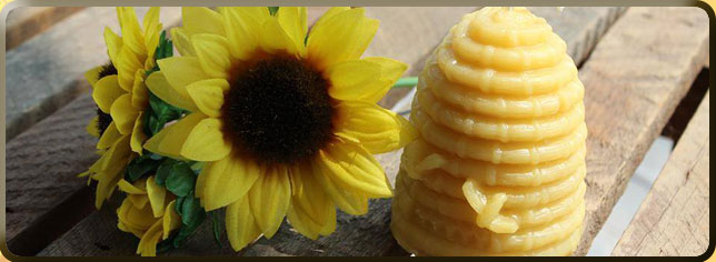 Honey Products in Antigonish, NS