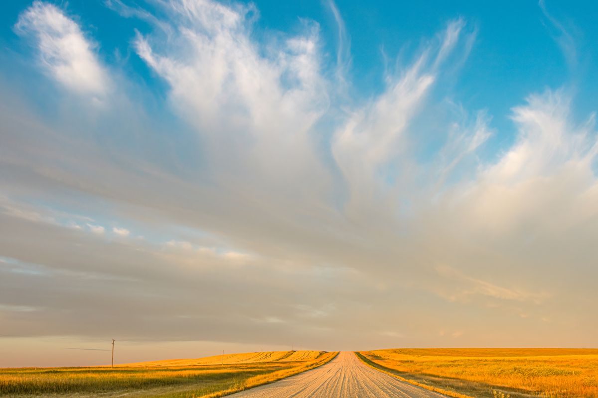 Prairie road through golden grain fields in southwestern Saskatchewan