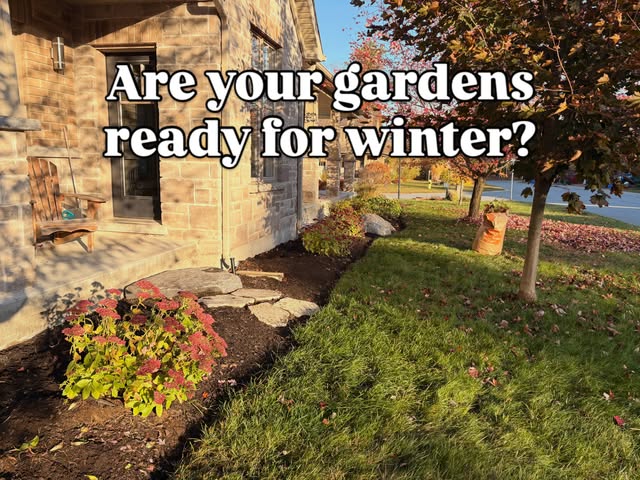 Mulched garden bed prepared for winter in Muskoka