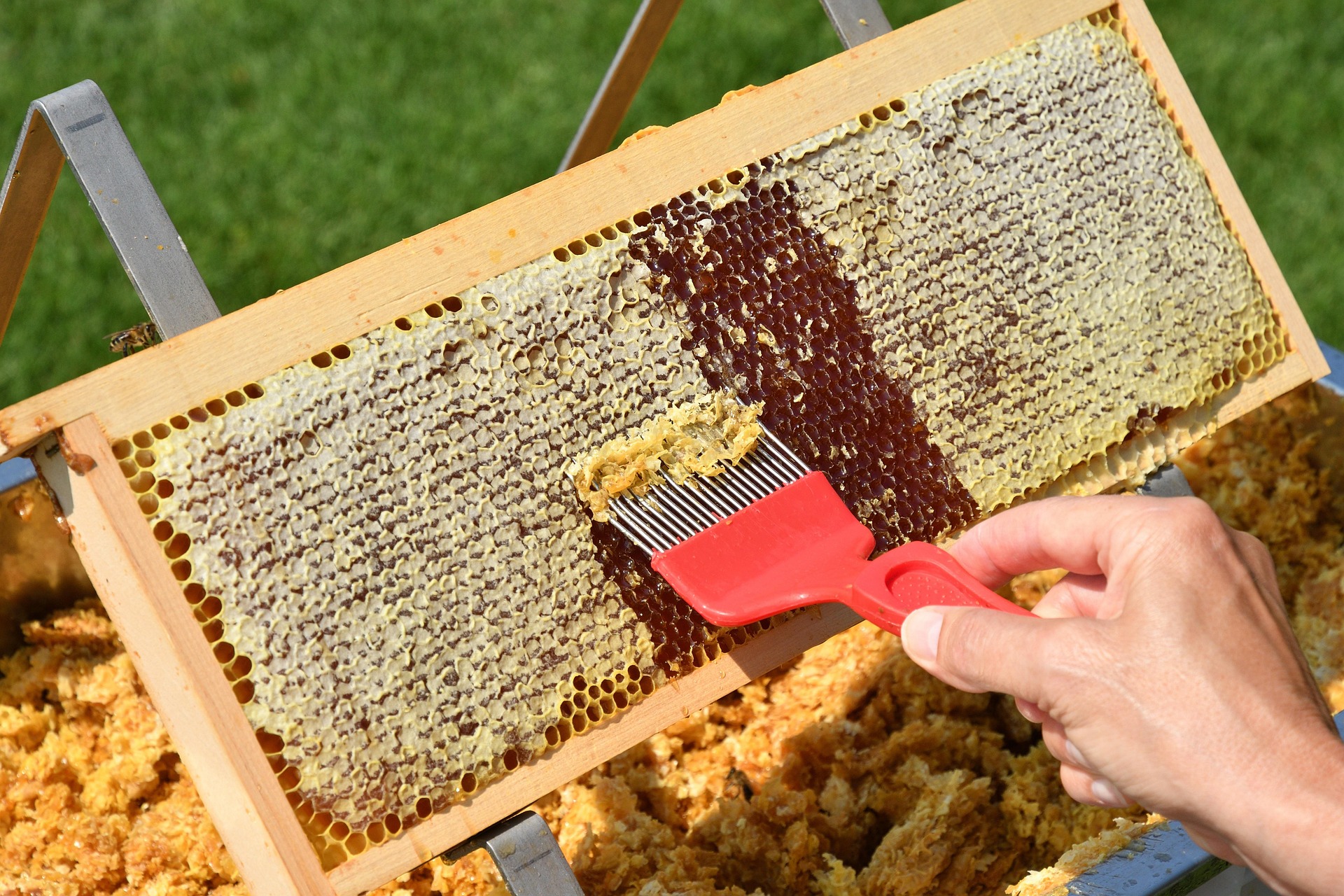 St. Joseph's Honey