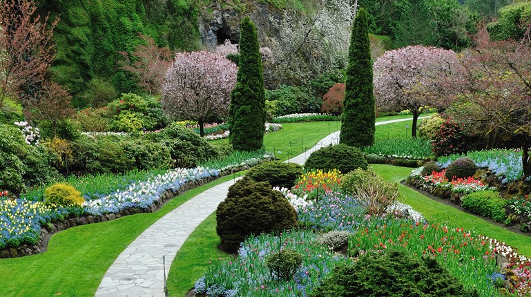 Astro Landscaping Limited